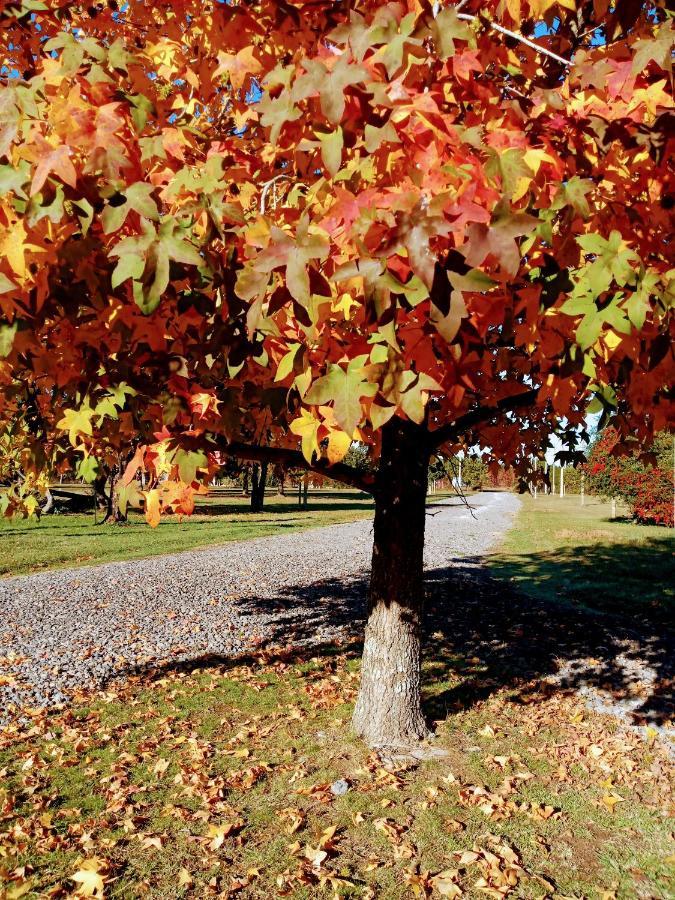 Casa De Campo Liquidambar San Pedro  Bagian luar foto